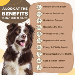 ZEBORA dog multivitamin chews close-up highlighting tasty bite-sized texture