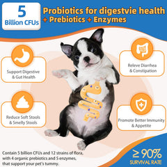 ZEBORA omega-3 skin-coat image suggests shinier coat and reduced itching