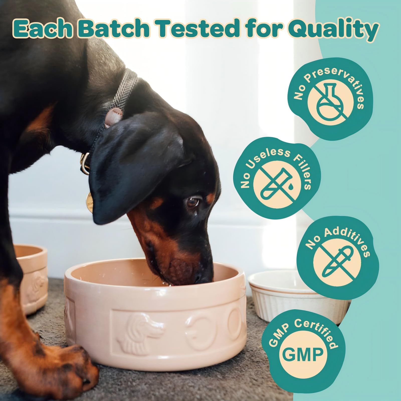 ZEBORA dog probiotics dosing scoop demonstrates precise portions