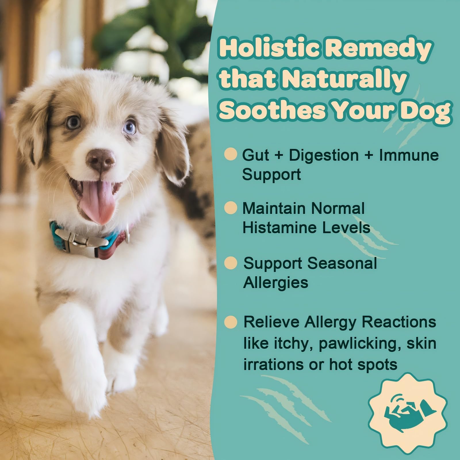 ZEBORA dog probiotics label closeup highlights natural ingredients