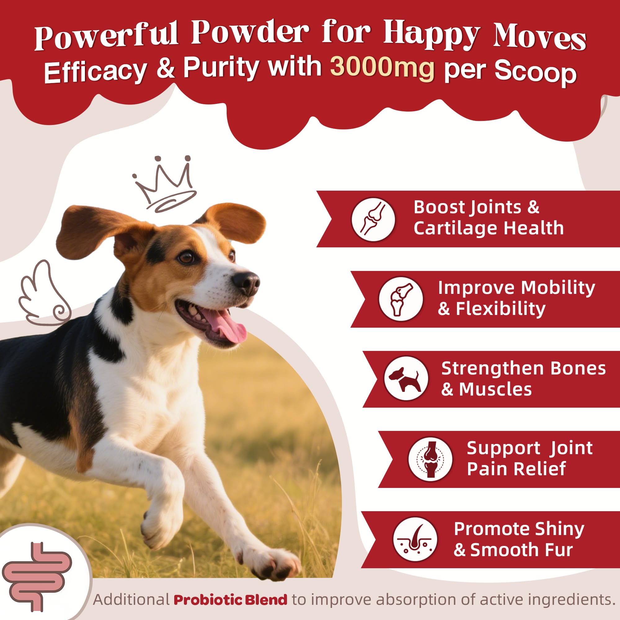 ZEBORA turmeric-omega3-dogs illustrates natural ingredients for mobility support.