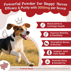 ZEBORA turmeric-omega3-dogs illustrates natural ingredients for mobility support.