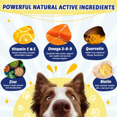 ZEBORA Omega-3 chicken-flavored chews for easy daily dosing and shinier coat