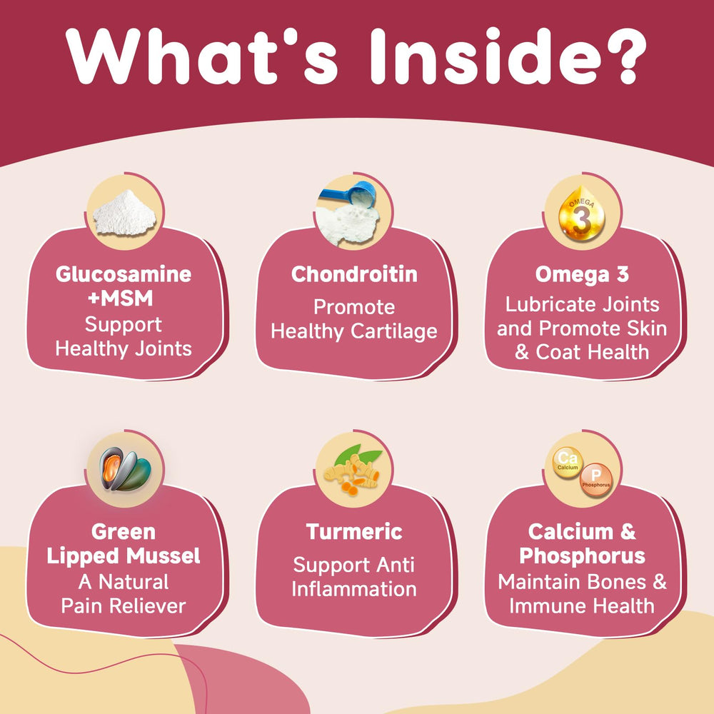ZEBORA omega-3 turmeric dog joint care image suggesting lubrication and inflammation balance