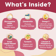 ZEBORA omega-3 turmeric dog joint care image suggesting lubrication and inflammation balance