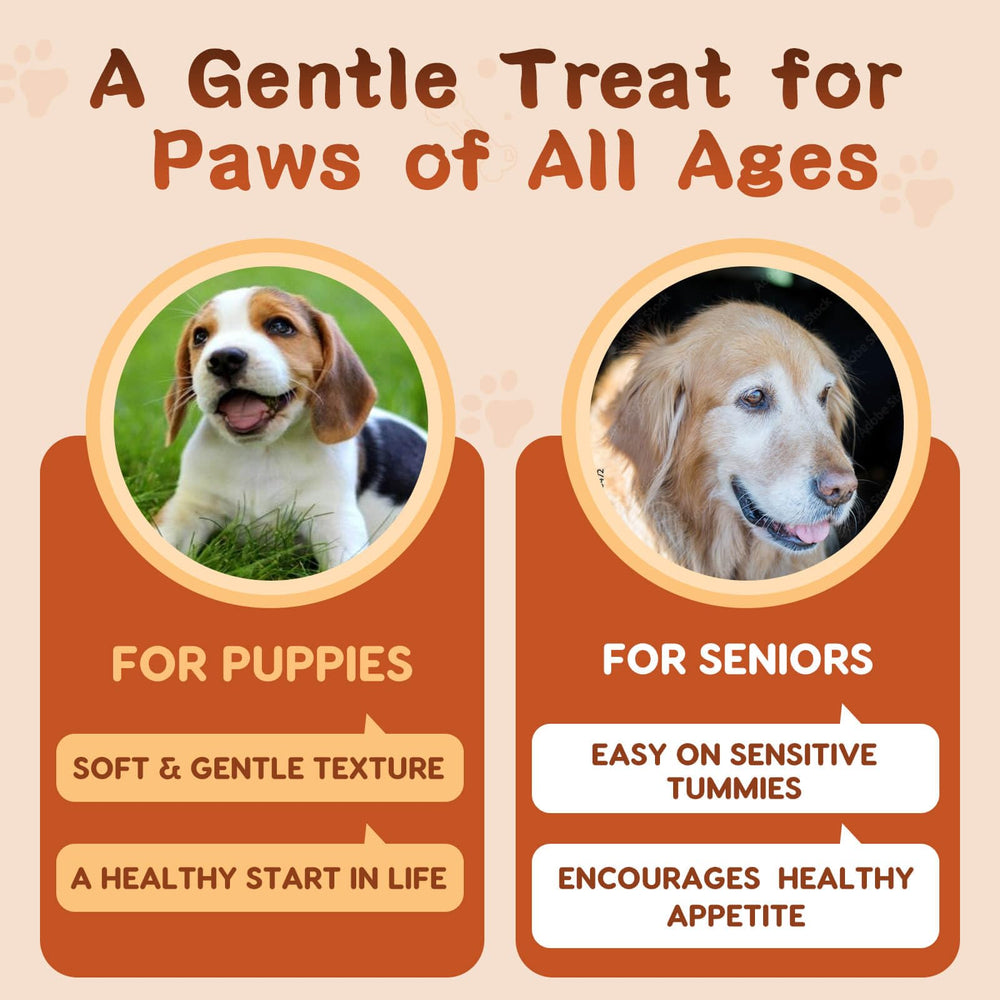 ZEBORA 180-count bottle for long-term dog gut health