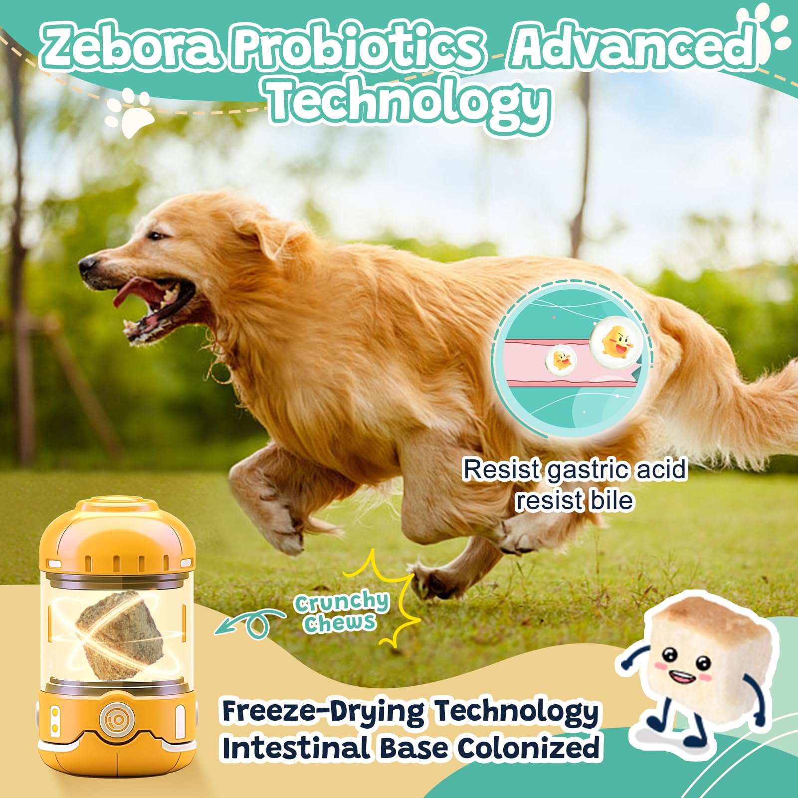 ZEBORA Probiotics chicken-flavor chews entice dogs during meals