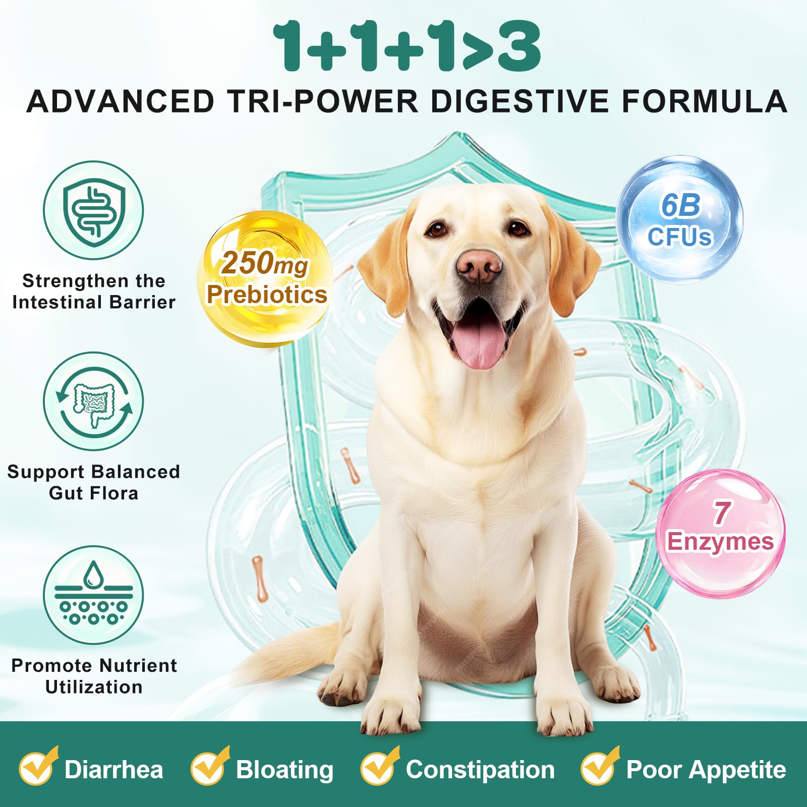 ZEBORA Probiotics for Dogs chews close-up highlights chicken flavor for easy dosing and tasty appeal