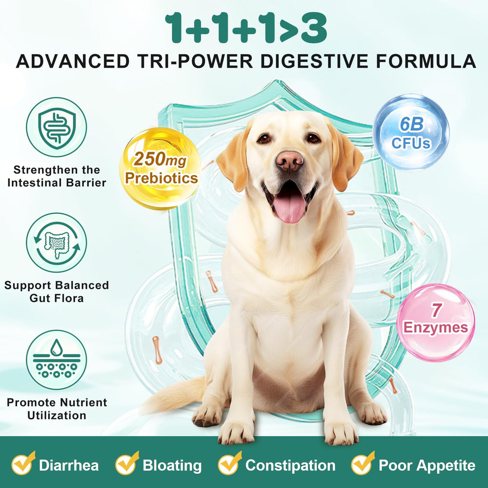 ZEBORA Probiotics for Dogs chews close-up highlights chicken flavor for easy dosing and tasty appeal