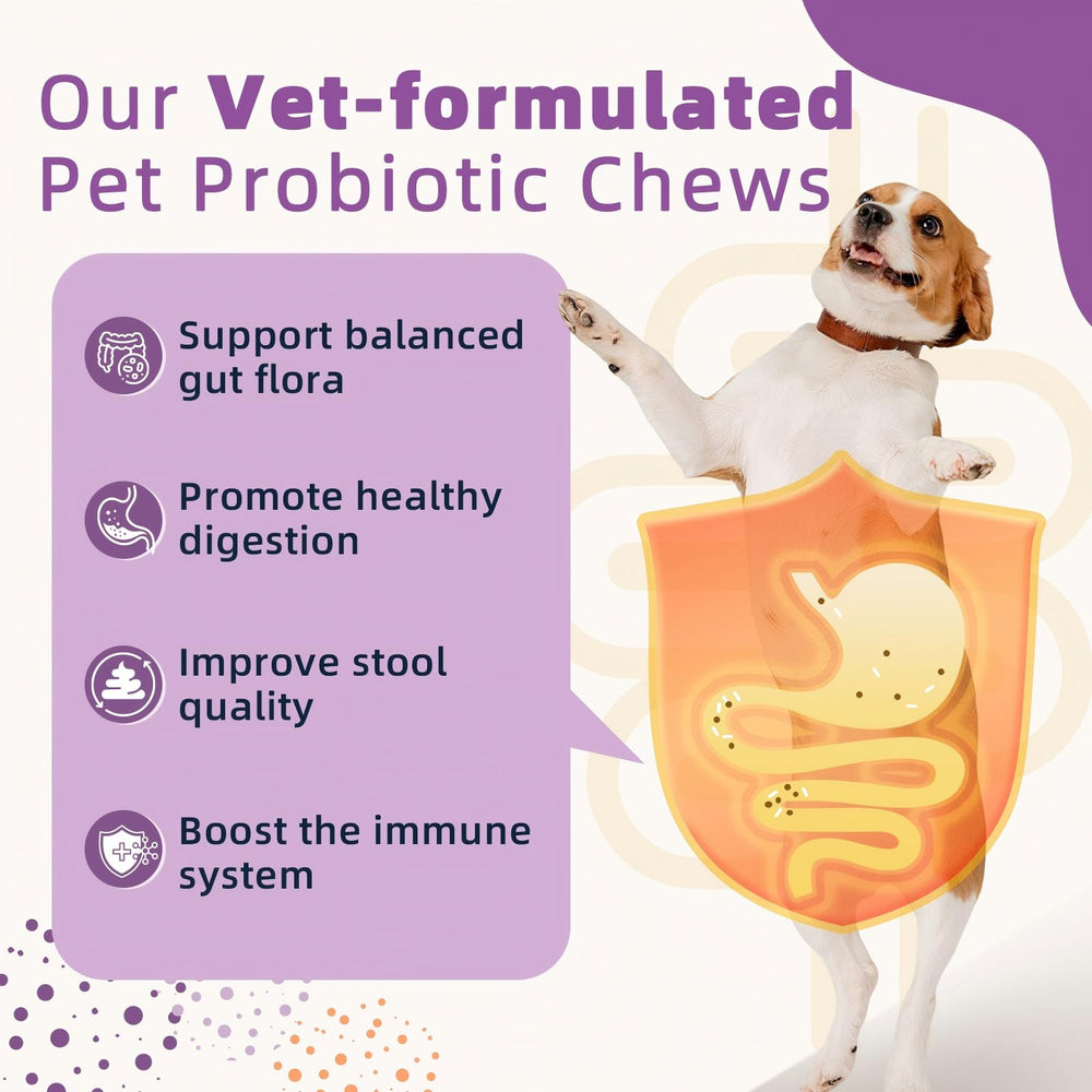 ZEBORA probiotics dogs chews closeup highlights a tasty texture aiding gut comfort.