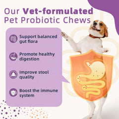 ZEBORA probiotics dogs chews closeup highlights a tasty texture aiding gut comfort.