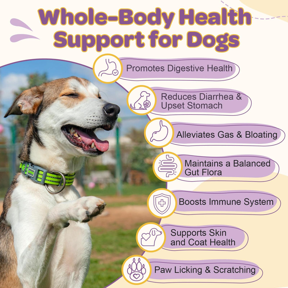 ZEBORA dog probiotics chews close-up showing duck flavor for easy daily servings.