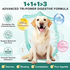 ZEBORA Probiotics for Dogs chews close-up highlights chicken flavor for easy dosing and tasty appeal