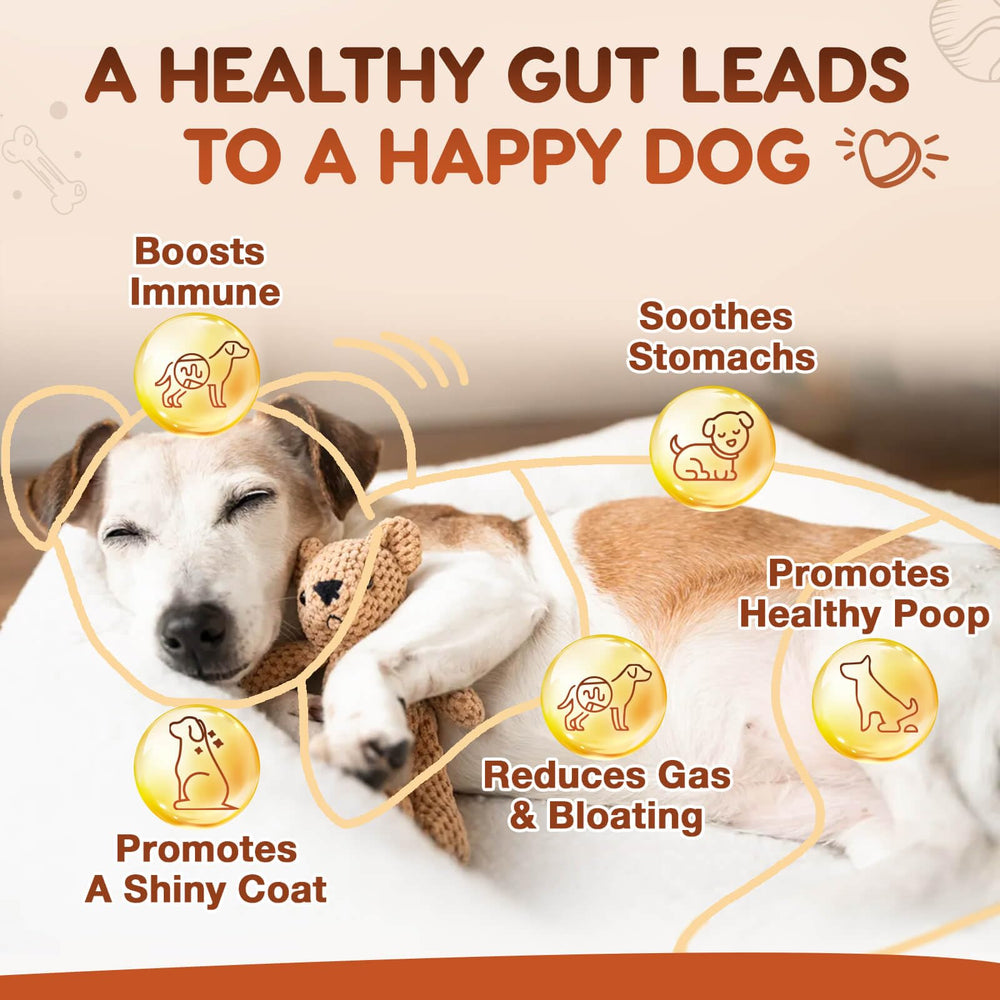 ZEBORA dog probiotics chicken flavor treat close-up