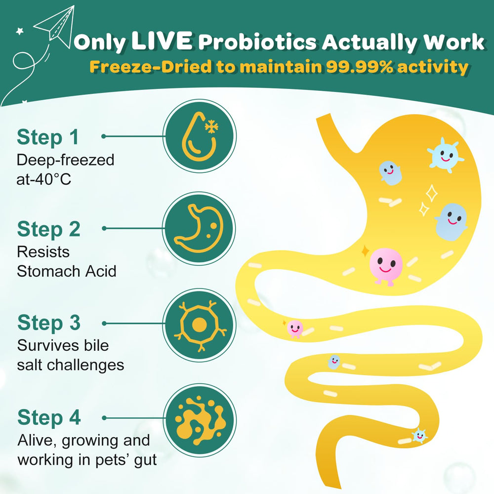 ZEBORA Probiotics for Dogs chicken-flavored bites aiding digestion and daily routine
