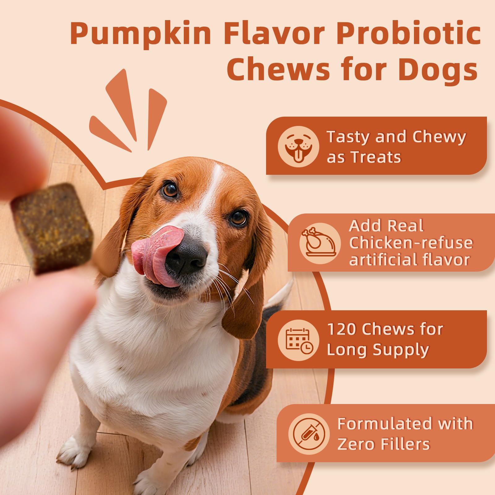 ZEBORA Probiotics for Dogs digestive enzymes image highlighting enzyme support for digestion.