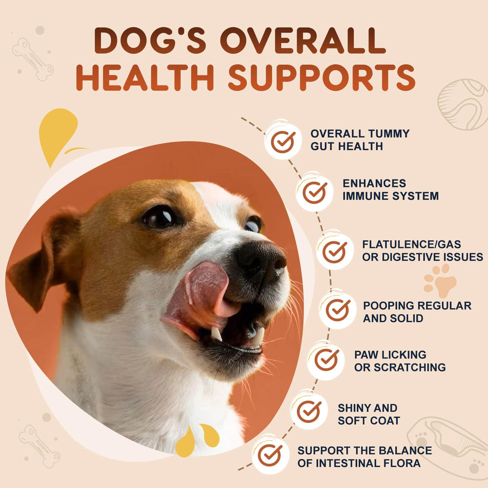 ZEBORA dogs fed daily bowl showing routine use