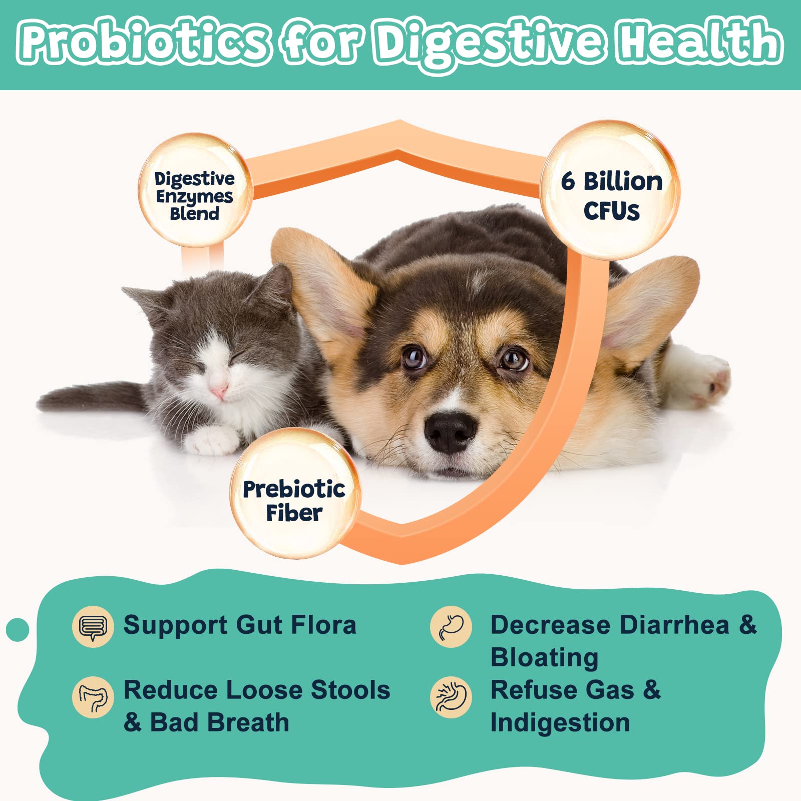ZEBORA freeze-dried bites deliver high bioavailability for digestion