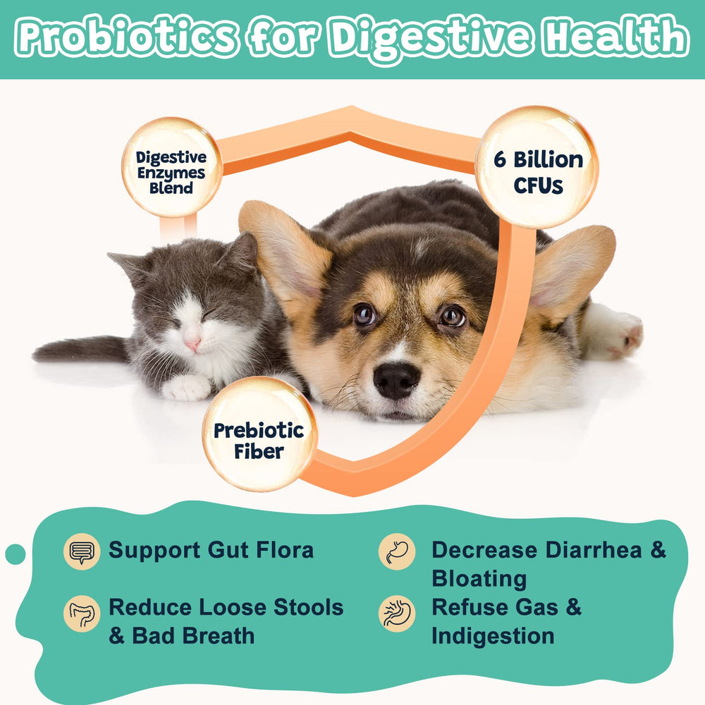 ZEBORA freeze-dried bites deliver high bioavailability for digestion