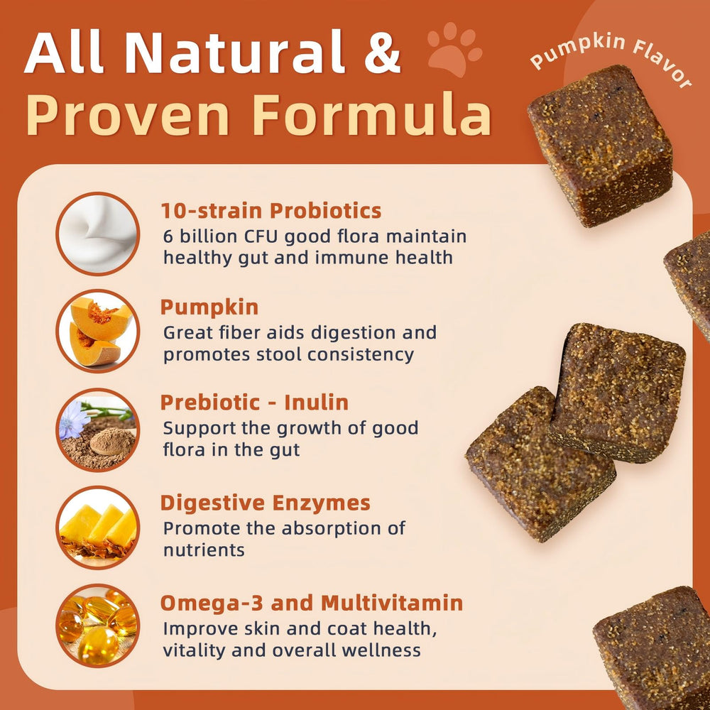 ZEBORA Probiotics for Dogs pumpkin-flavored chews that support gut health and taste appeal.