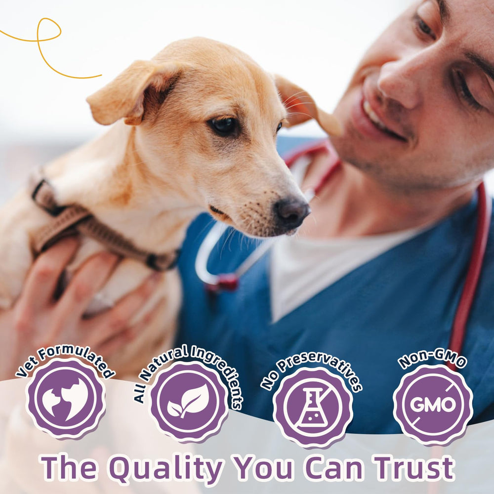 ZEBORA probiotics for dogs puppy-friendly image suggests suitability for all life stages.