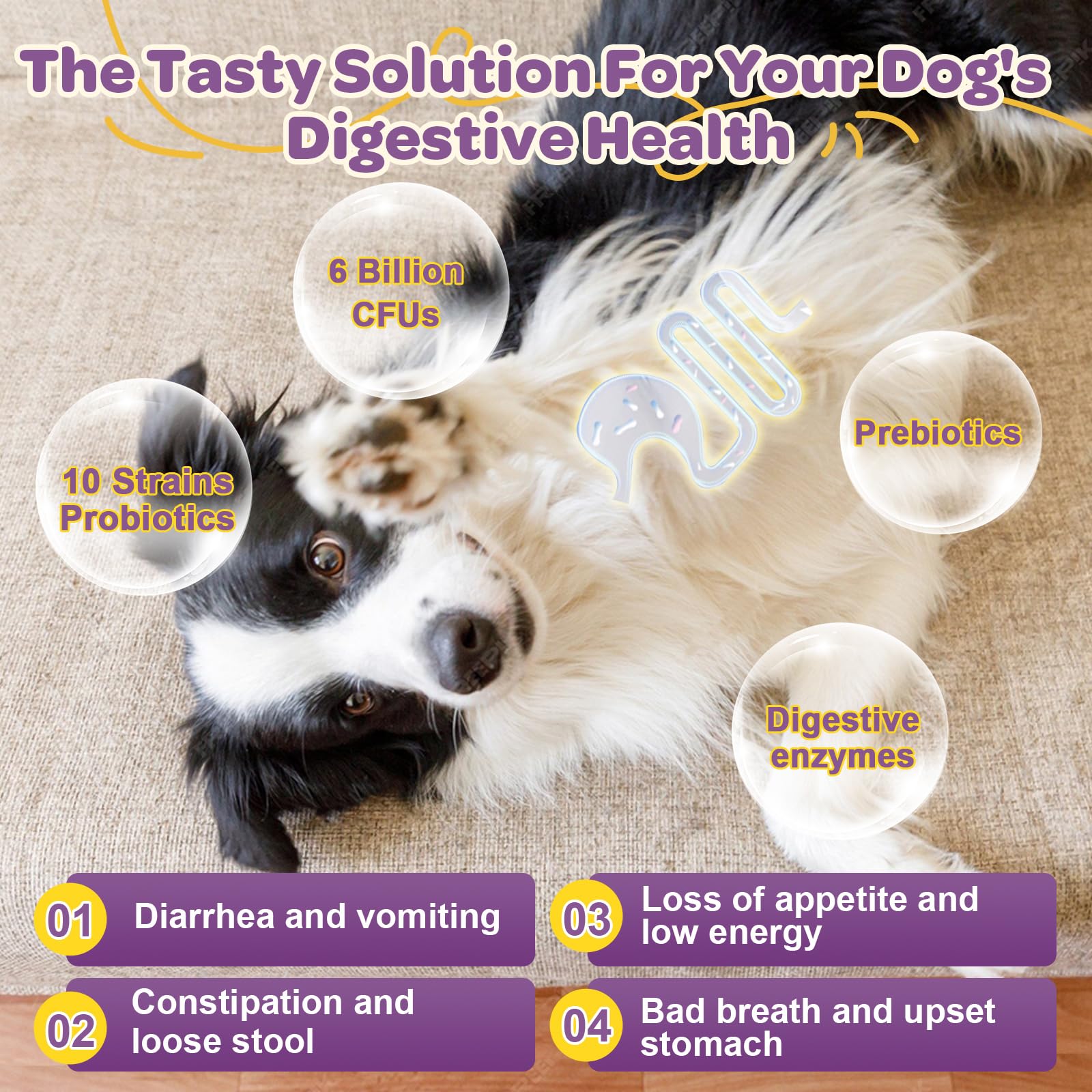 ZEBORA dog probiotics promoting skin and coat health with salmon oil.