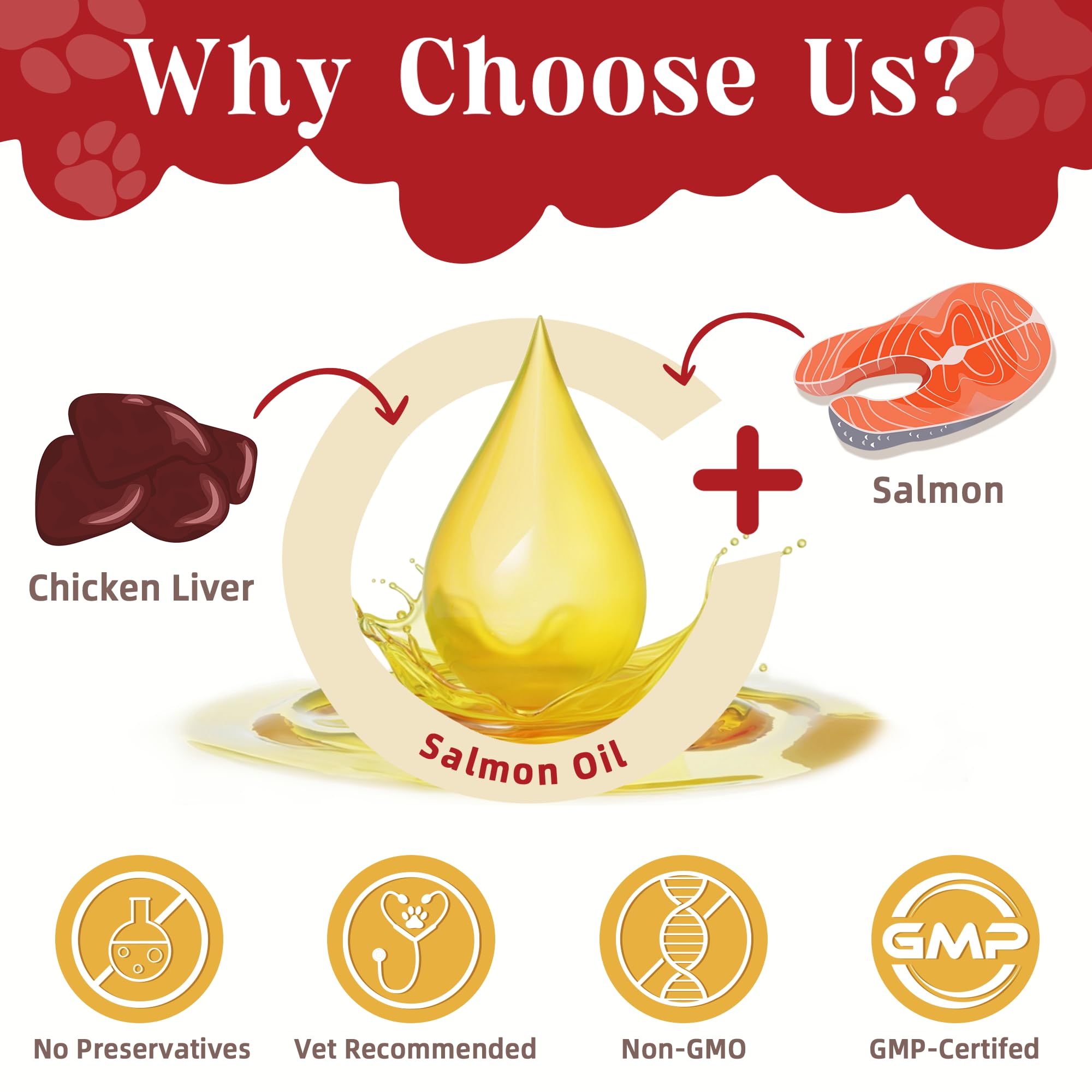 ZEBORA probiotics-dogs-tummy-friendly image shows nutrient absorption support.