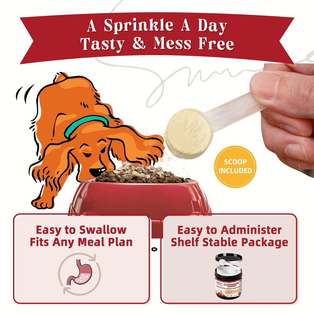 ZEBORA salmon-oil-dogs showcases omega-3 rich coat and heart support.
