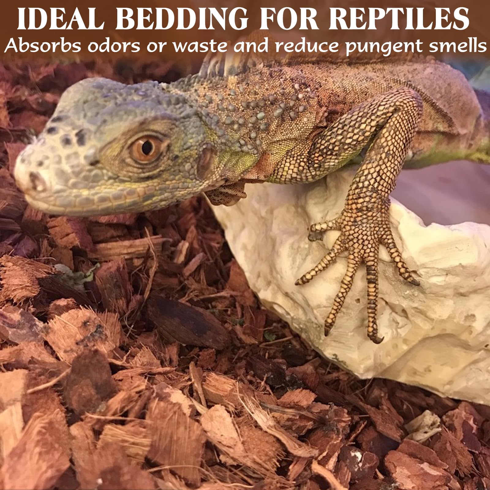 Breathable ZeeDix substrate supports humidity balance