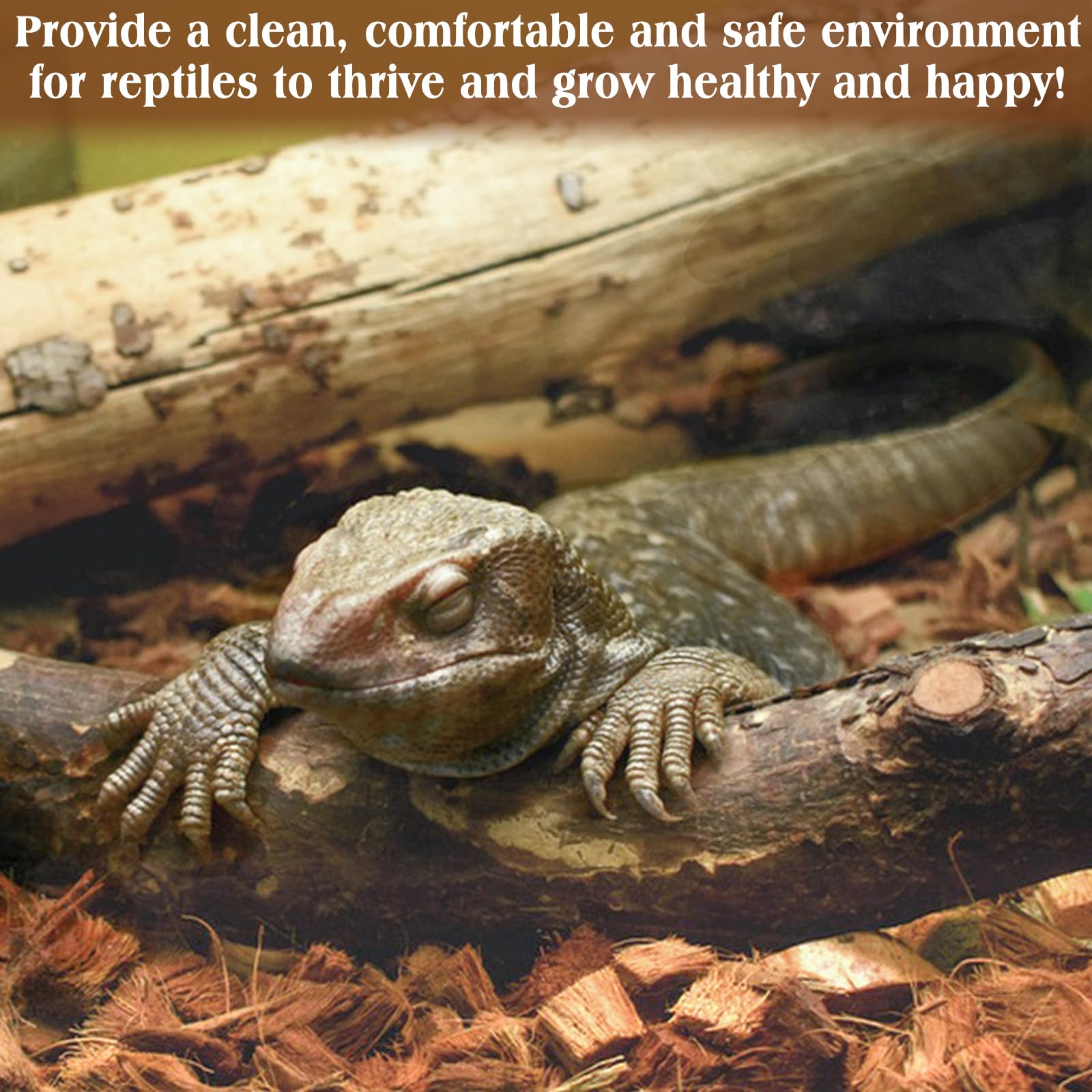 ZeeDix coconut bedding creates a clean habitat