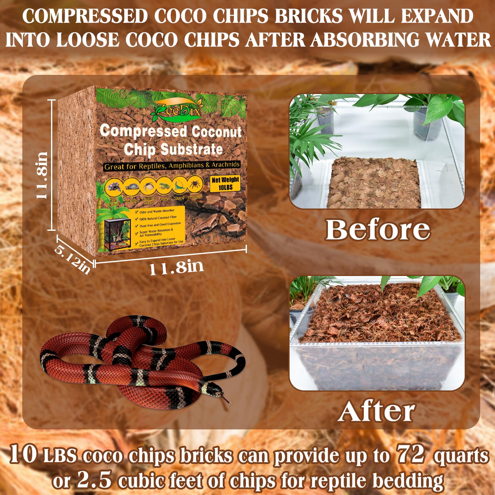 Expanded ZeeDix coconut chips ready for terrarium use