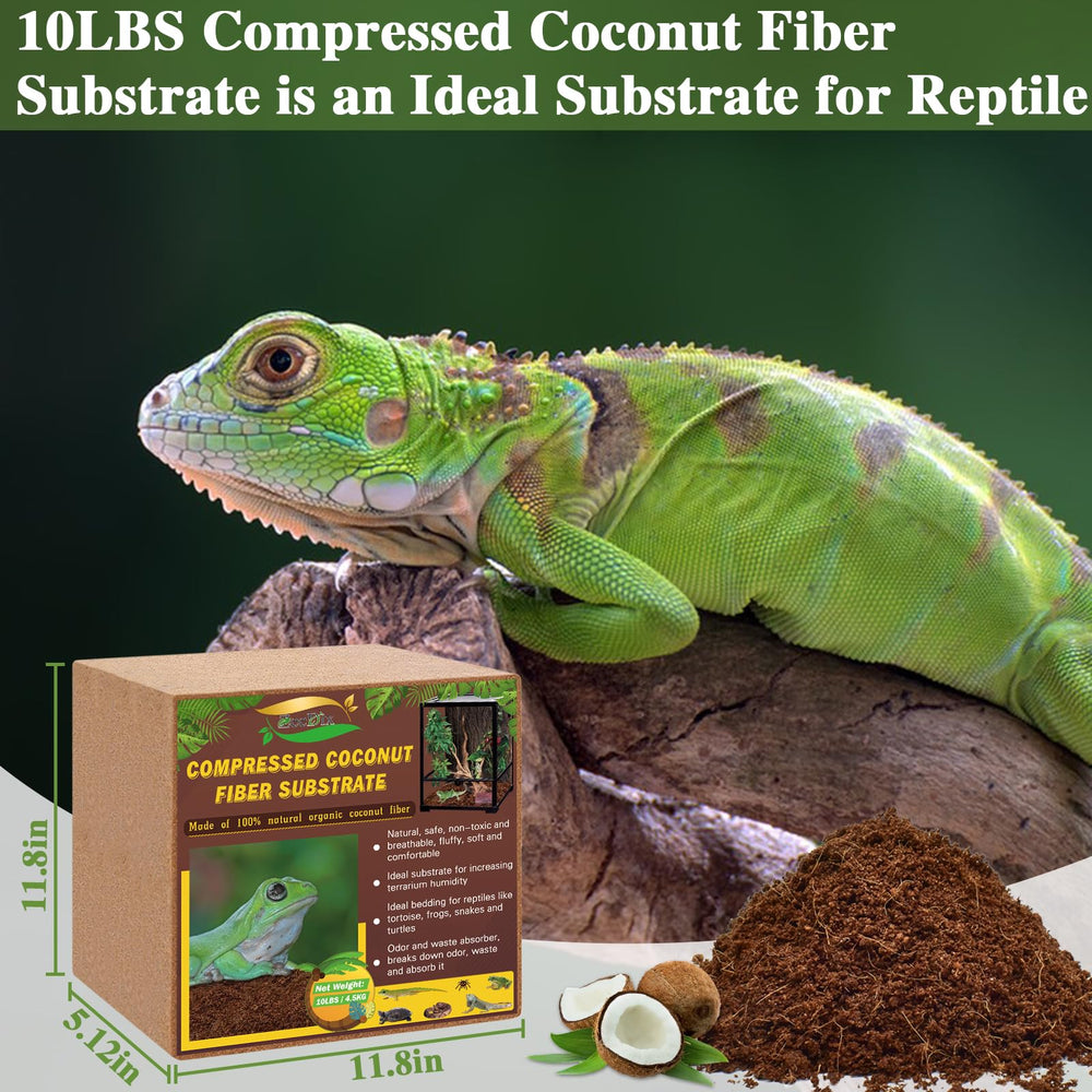 ZeeDix coconut fiber substrate brick soaking expands into fluffy reptile bedding.