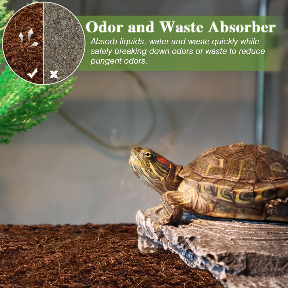 ZeeDix substrate absorbs odors to keep terrariums fresh.