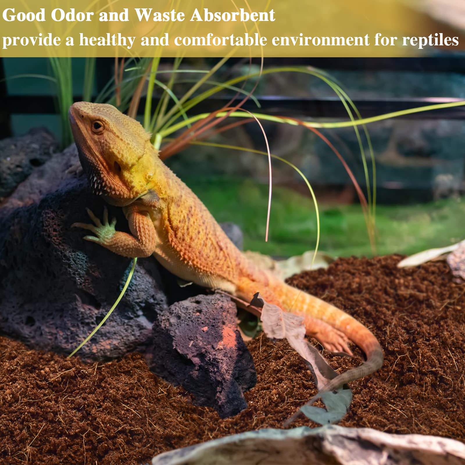 ZeeDix coconut-fiber-substrate-terrarium-use demonstrates versatile bedding for reptiles