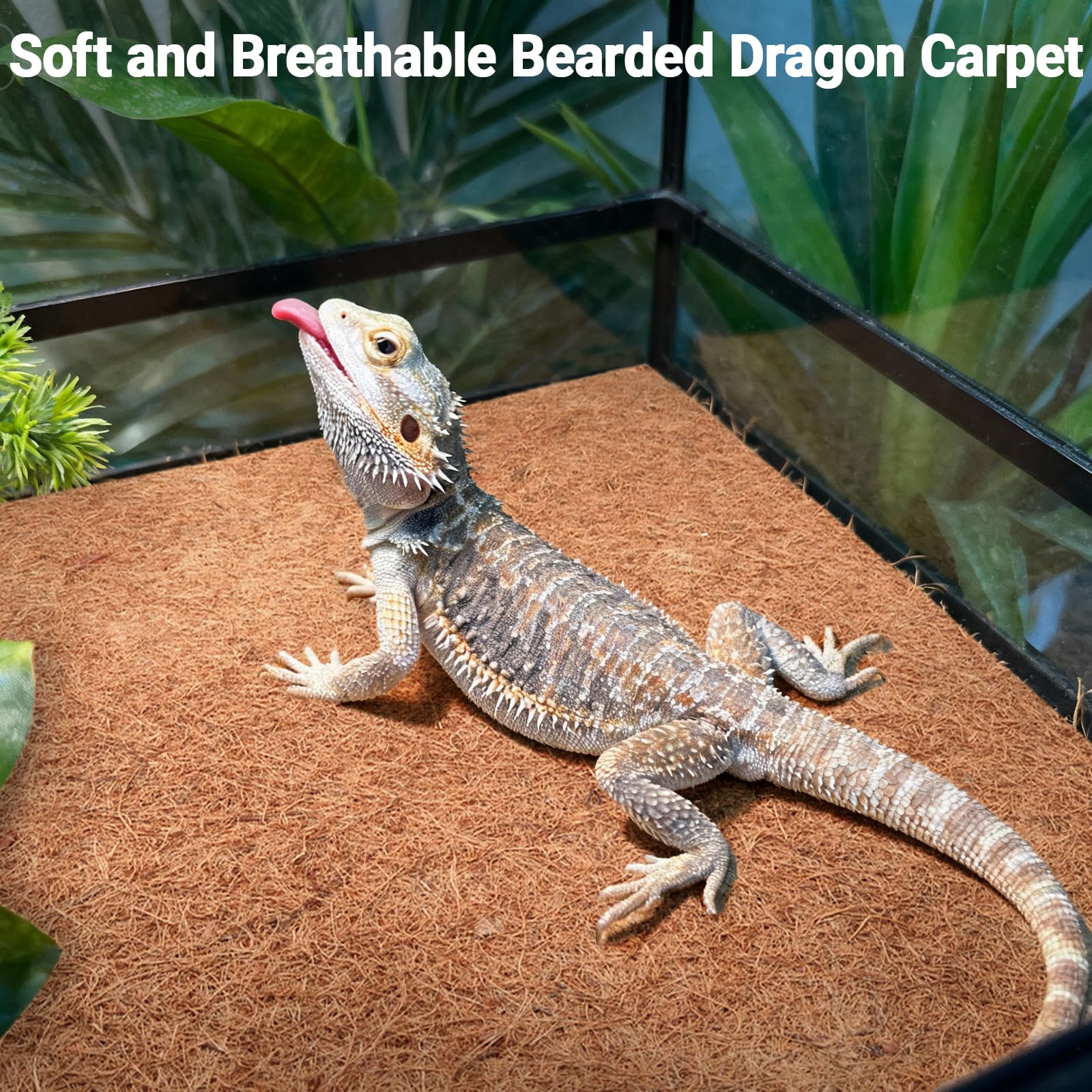 ZeeDix door mat and cabinet liner option trapping dirt with airflow