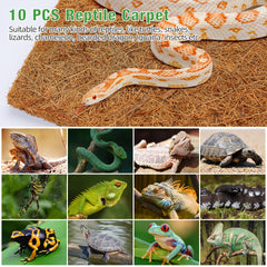 ZeeDix easy-clean design with quick rinse and air-dry