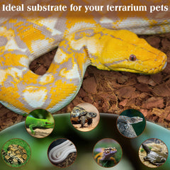 Soak and expand ZeeDix substrate for easy setup