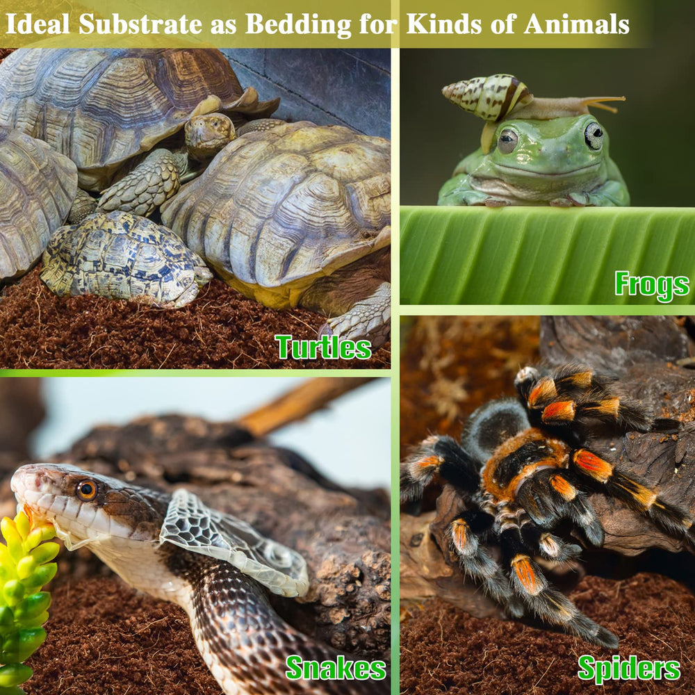 ZeeDix 4-pack substrate stays lightweight and easy to store between uses