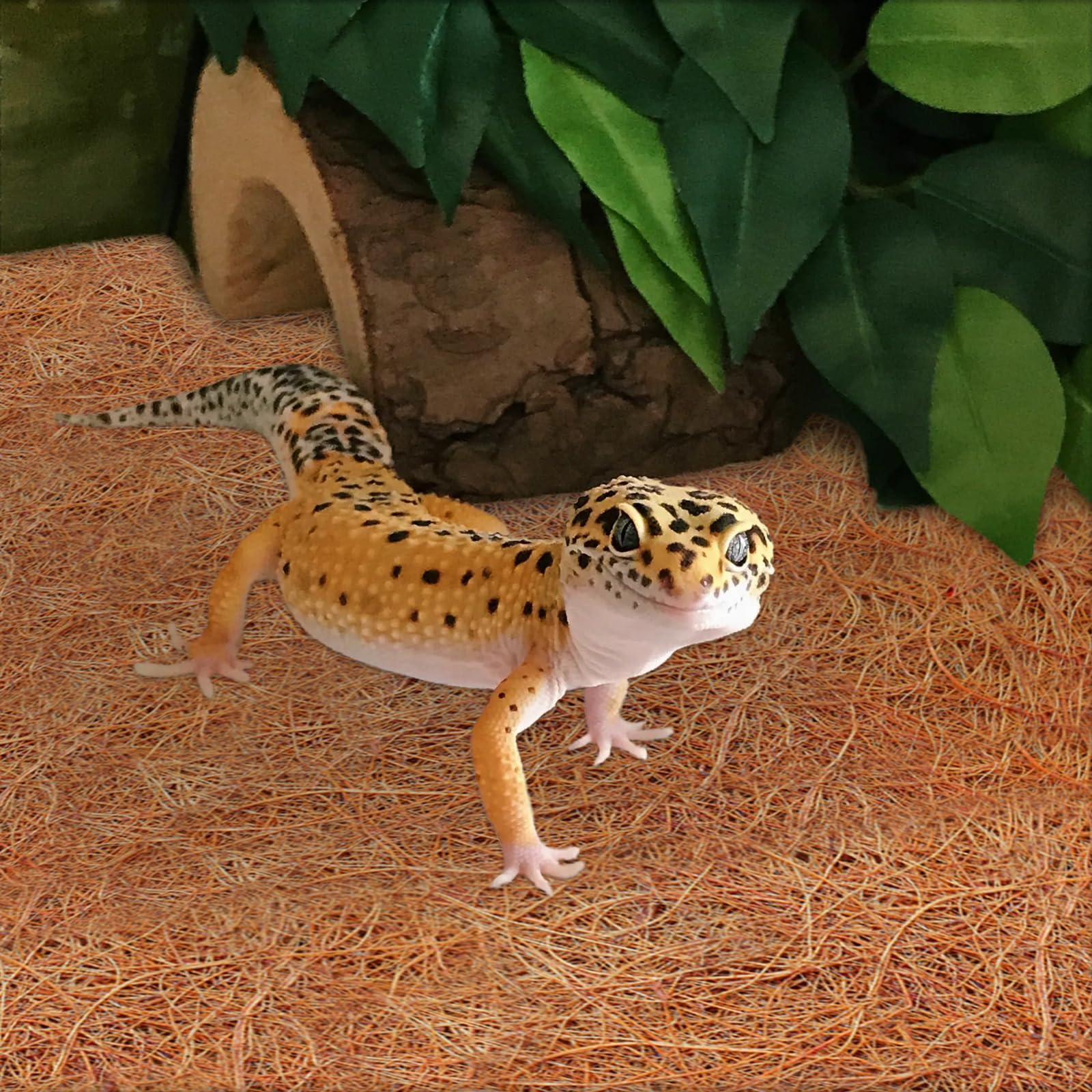 ZeeDix reptile mat rolls natural coconut fiber texture enhances substrate aesthetics