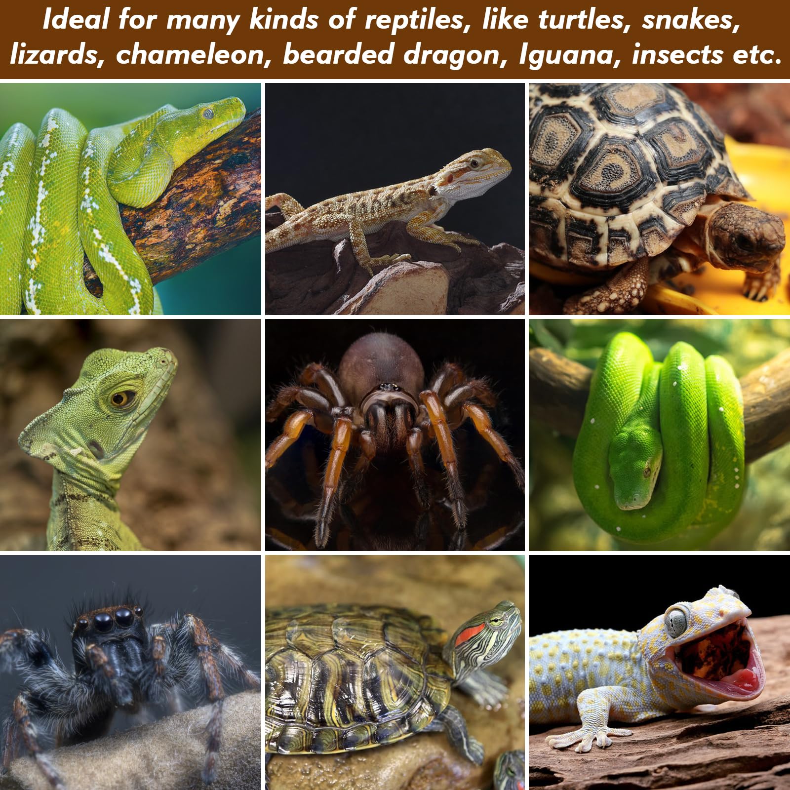 ZeeDix reptile mat rolls cut to size for custom layouts