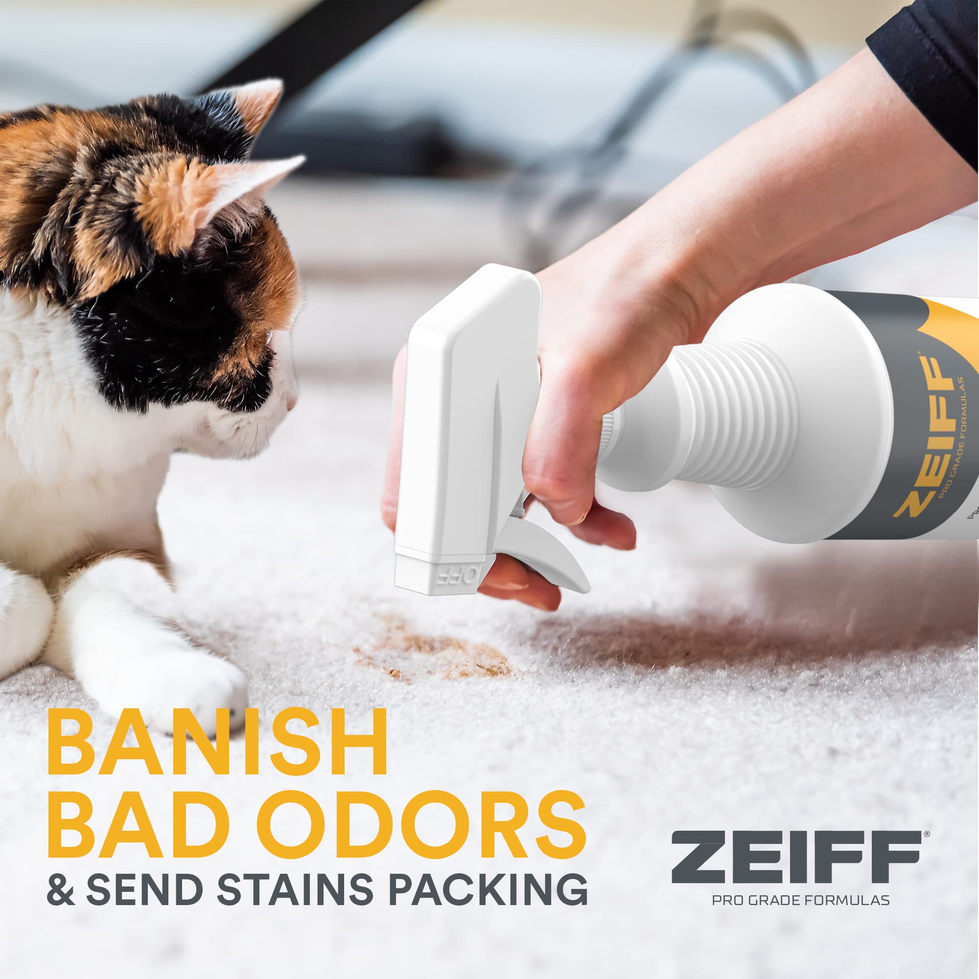Zeiff Mattress Cleaner applying product to a bed for safe cleaning in sleeping areas