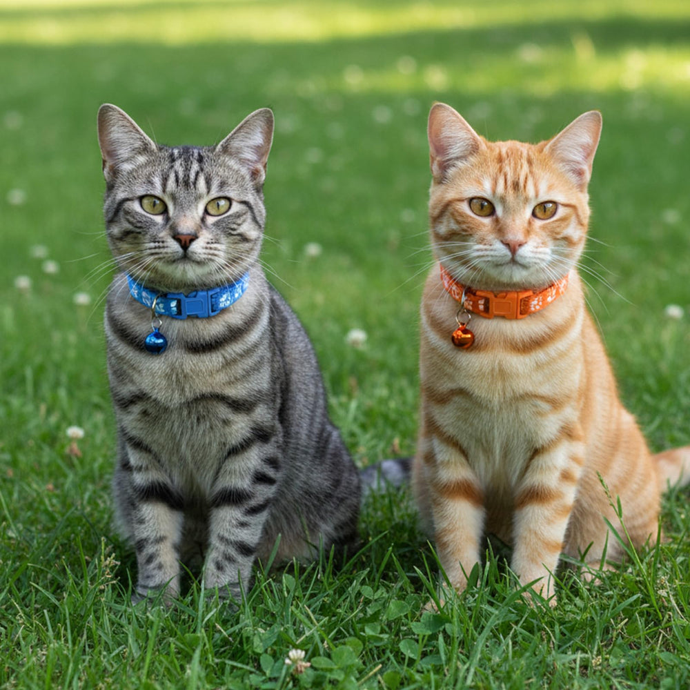 Zelphvt breakaway safety mechanism close-up preventing entanglement