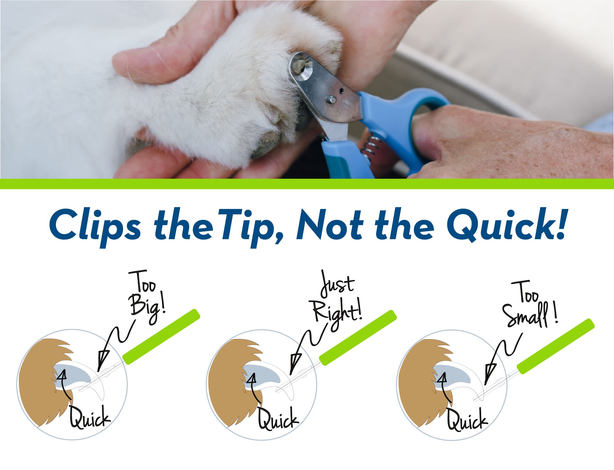 Zen Clipper 3-5mm hole demonstrates sizing for medium dogs during at-home grooming.