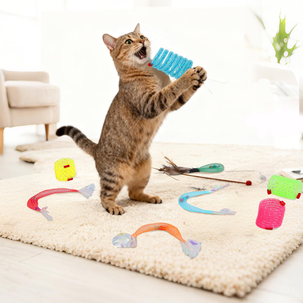 ZENGABIA indoor cat enrichment set—designed to keep cats active and engaged.