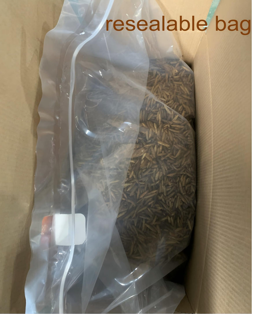 ZenithWorks high-protein poultry treats for chickens, ducks, and geese