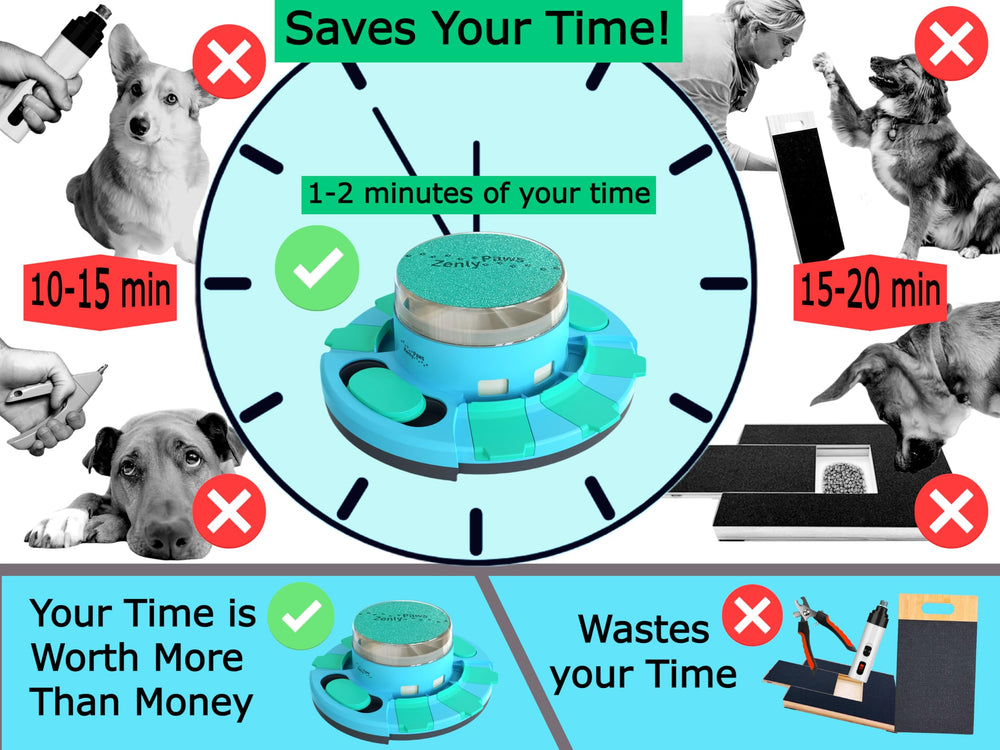 Zenly Paws Nail File Toy scratch board and durable design for daily use