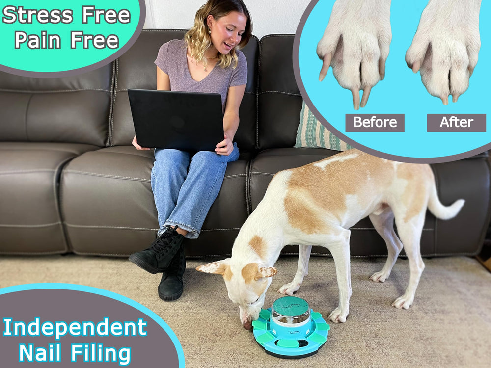 Zenly Paws Nail File Toy treat box dispenser keeps dogs busy with rewards