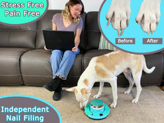 Zenly Paws Nail File Toy treat box dispenser keeps dogs busy with rewards