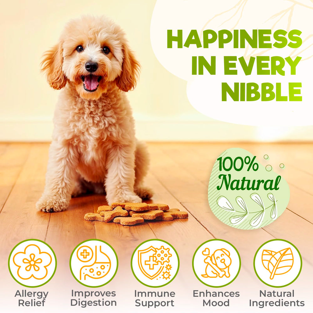 ZENO Dog Allergy Chews chicken-flavor treats highlight tasty relief that supports itchy skin comfort.