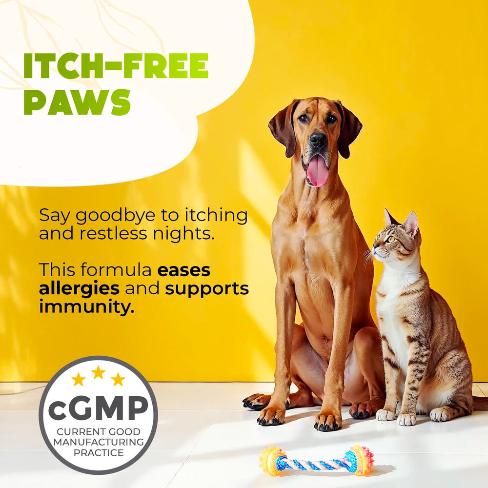 ZENO Dog Allergy Chews paw relief image signals faster onset and paw-itch relief potential.